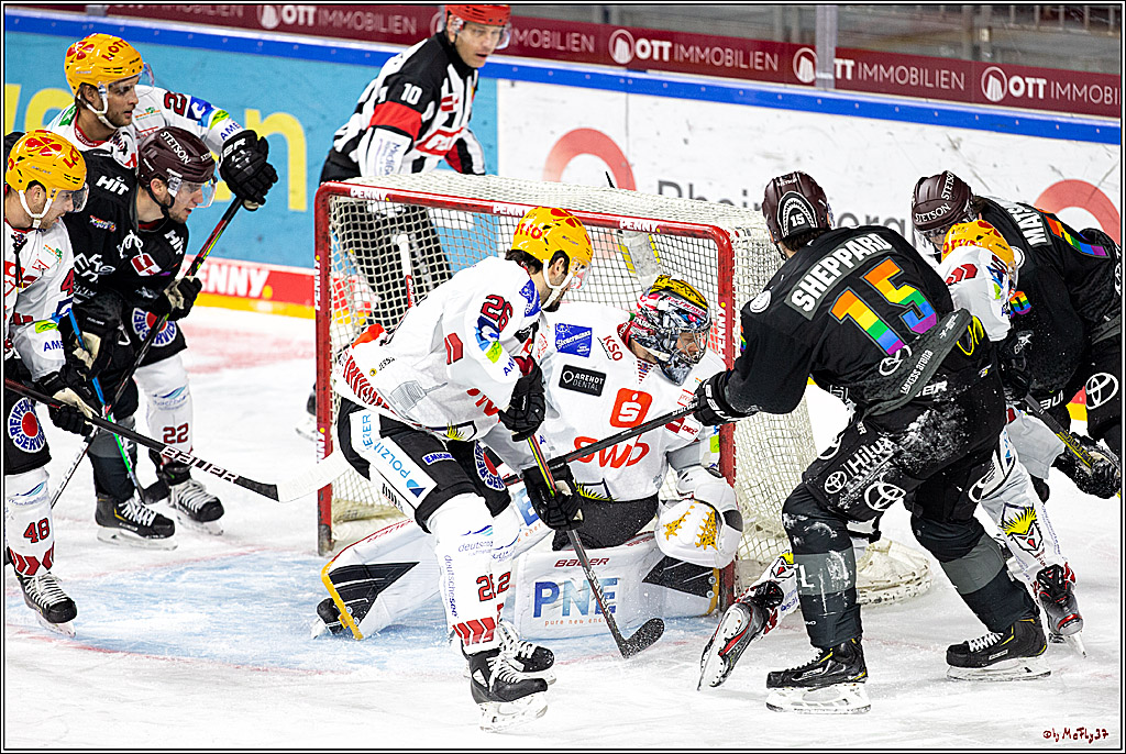 PENNY DEL;  Koelner Haie - Fischtown Pinguins Bremerhaven; Koeln, 17.01.2021